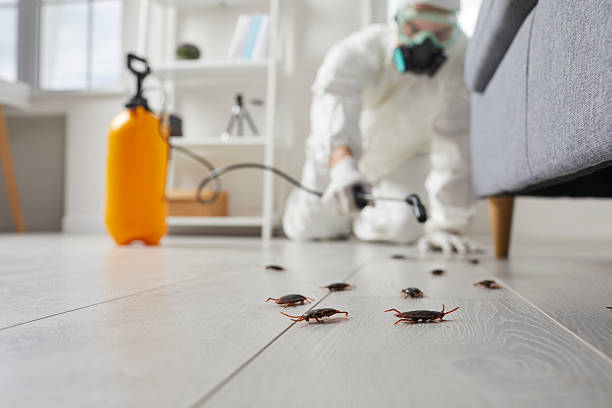 Commercial Kitchen Cockroach Control in Bloomingdale